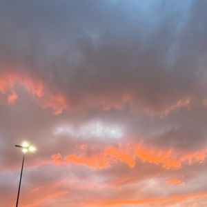 Meet your Posher, Ryan wall